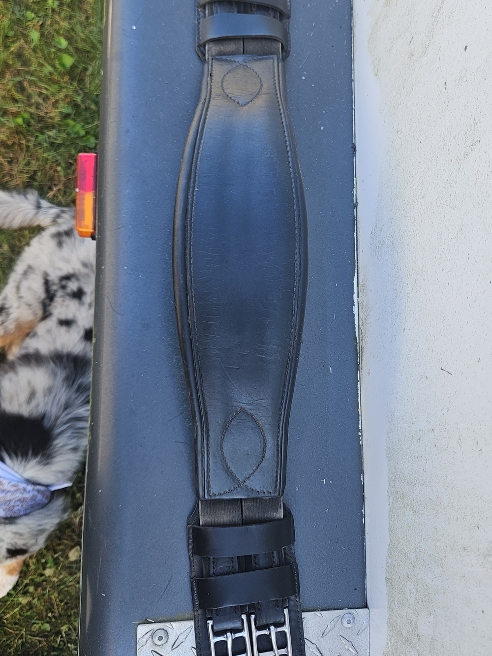 Black Leather Saddle Girth